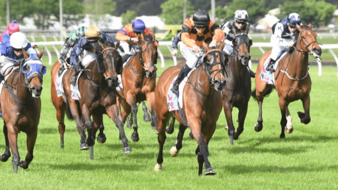 Town Cryer winning Sunday's Gr.3 Gee and Hickton Funeral Directors Thompson Handicap (1600m) at Trentham. - Photo: Peter Rubery, Race Images