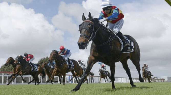 Lovely Rita winning at Waverley on Wednesday.  - Photo: Peter Rubery, Race Images