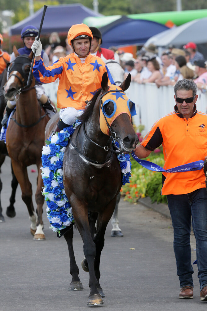 Avantage returning to scale after winning the Gr.1 Railway Stakes (1200m) at Ellerslie on New Year’s Day Photo: Trish Dunell