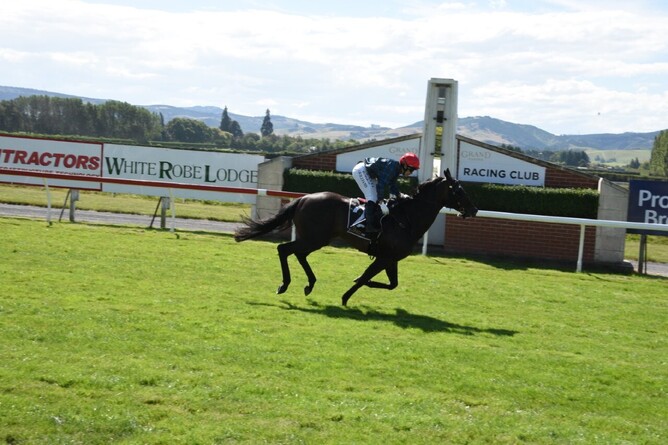 Harlech scores a dominant win in the Listed Nellies Restaurant & Bar Hazlett Stakes - Photo: Taylor Strong
