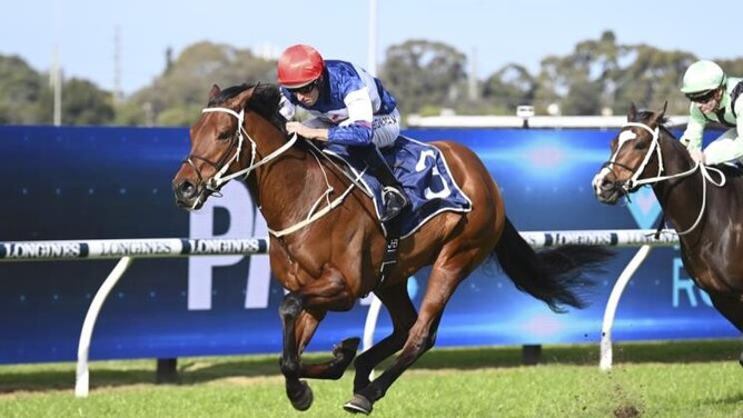 Kiwi-breds contribute to Waller’s big day - Photo: Bradleyphotos.com.au