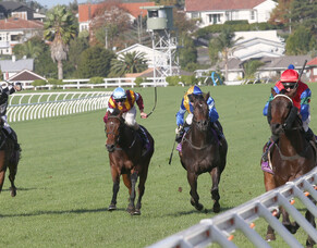 Super weekend for Westbury Stud
