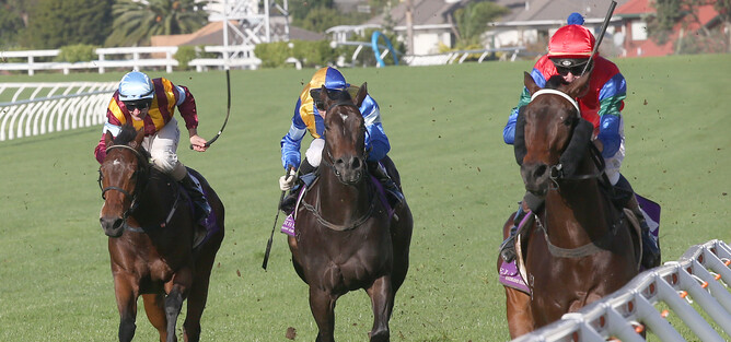 Ichiban winning the Listed Graeme Thomson Jewellery Great Northern Foal Stakes at Ellerslie 28/5/16 (outside).  Photo courtesy of Trish Dunell