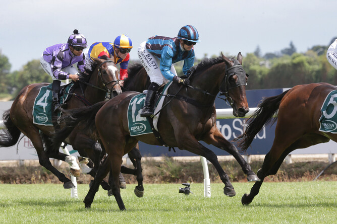 Farag - winner of the 2024 Jericho Cup - Photo: Trish Dunell