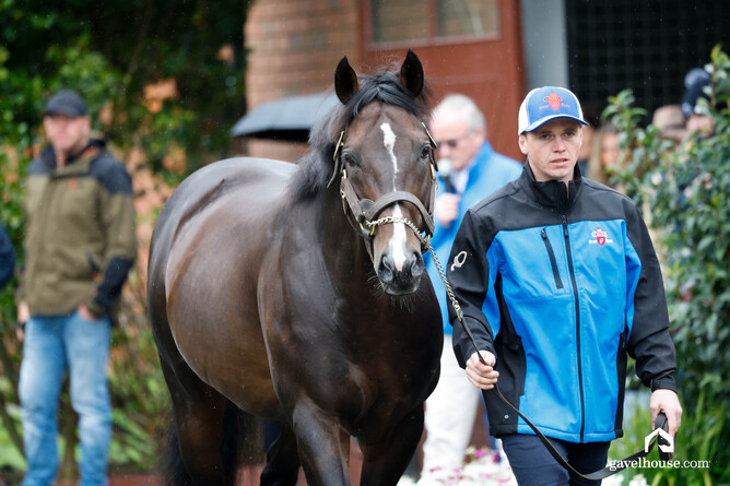 U S Navy Flag parades at The Oaks Stud - Photo: Ange Bridson