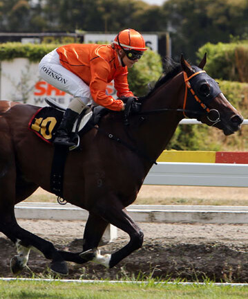 Castlzeberg wins the Gr 2 Waikato Guineas