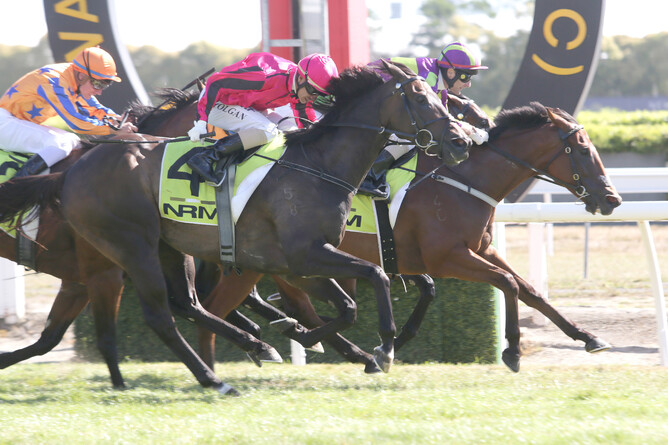 Start Wondering (inside) wins the Gr.1 NRM Sprint