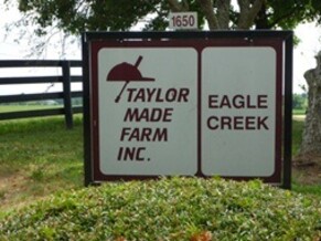 Matt&#039;s Blog - August 2011