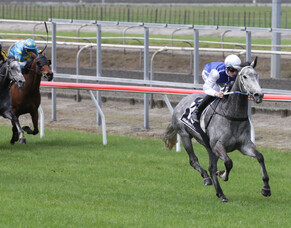 Polly Grey - the gift that keeps giving