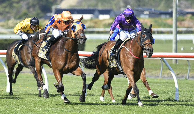He’s A Doozy lands the Gr.3 Thompson Handicap (1600m) under a perfect Kozzi Asano ride  - Photo: Race Images PN (Peter Rubery)