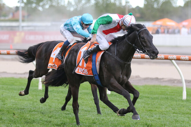 Aegon caps a phenomenal day for trainer Andrew Forsman with victory in the Gr.3 Moonga Stakes (1400m) at Caulfield - Photo credit: Bruno Cannatelli