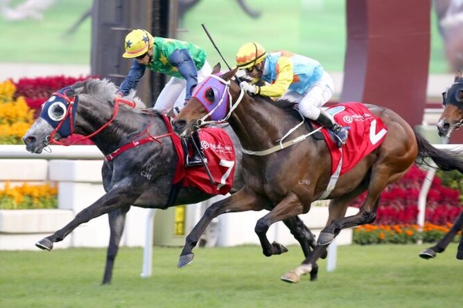 Reliable Team winning the Gr.2 BOCHK Jockey Club Cup (2000m).  - Photo: HKJC