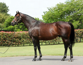 Book closed for Iffraaj