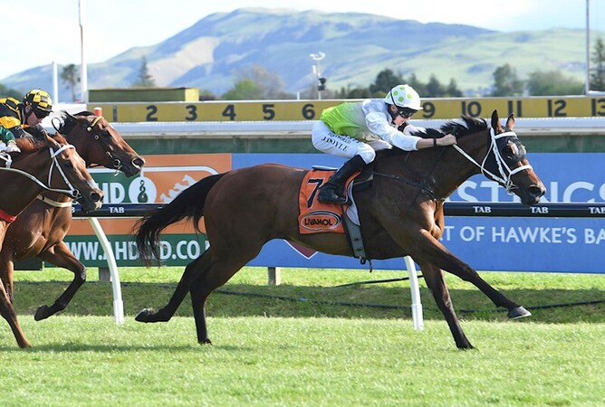 Express Yourself (Expressiveness) is listed on the current gavelhouse.com auction - Photo: Supplied