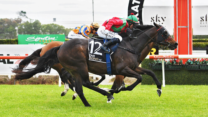 Group Three winner Zecora will visit Super Seth this spring - Photo: Race Images (Kenton Wright)