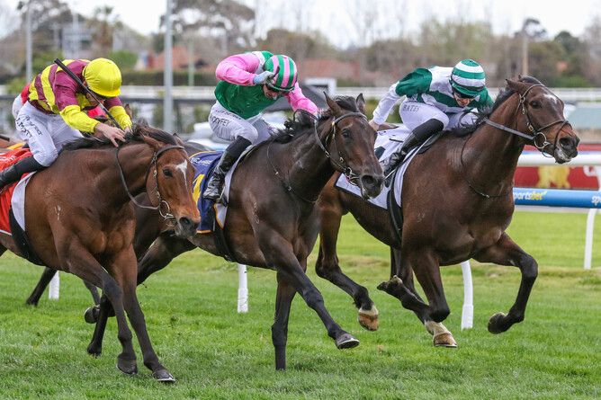 Positivity (centre) earned a golden ticket into next month’s Gr.1 Caulfield Cup (2400m) with victory in Saturday’s A$200,000 Gr.3 Catanach’s Jewellers MRC Foundation Cup (2000m).  - Photo: Bruno Cannatelli