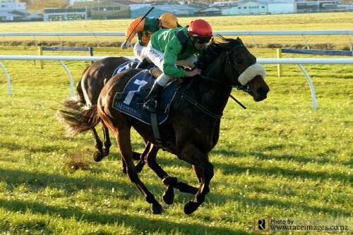 Let Her Rip wins the Gp.3 Rotorua Stakes