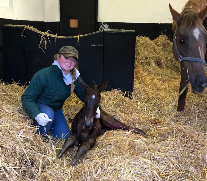 Alice Jeffries is thoroughly enjoying her time at the Irish National Stud - Photo: Supplied