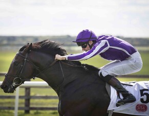 Star sprinters join burgeoning Valachi Downs roster