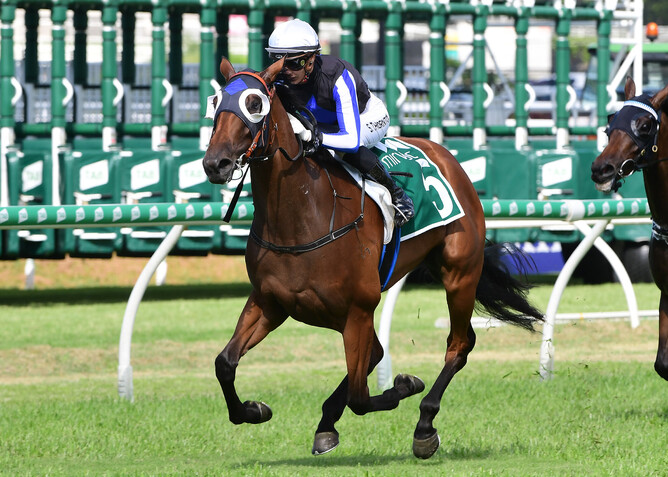 Three-year-old Tarzino filly Gypsy Goddess trounced her rivals in the Gr.3 Grand Prix Stakes (2100m) at Eagle Farm Photo: Trackside Photography (Grant Peters)