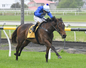 &#039;Heights&#039; family strikes again