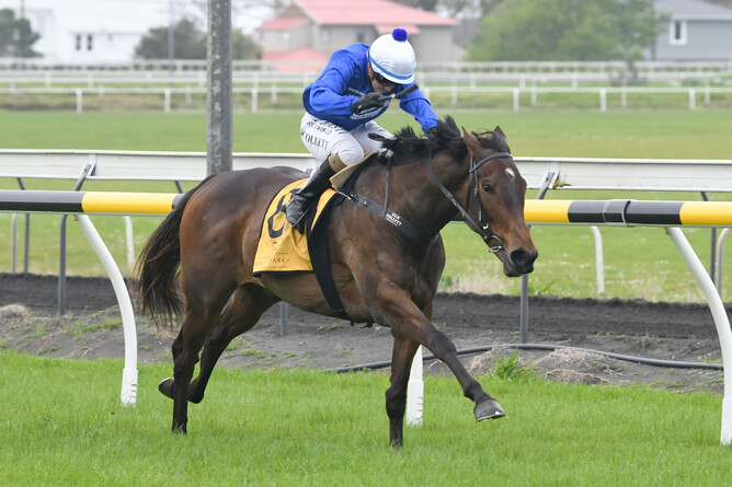Supreme Heights on her way to a Group Three win at New Plymouth. Photo: Race Images