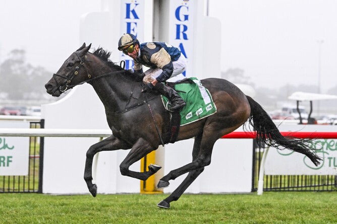 Gringotts successfully defends his title in Saturday’s A$1 million The Illawarra Mercury Gong (1600m) at Kembla Grange. - Photo: bradleyphotos.com.au