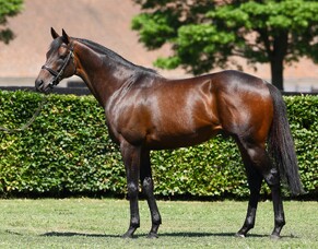 Notable stakes success for Time Test