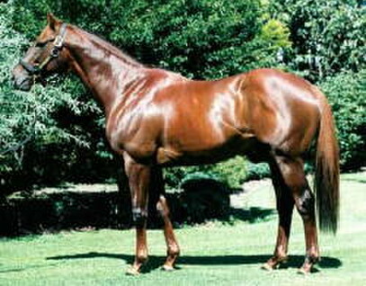 Traditionally, sire of Te Rapa stakeswinner Chant