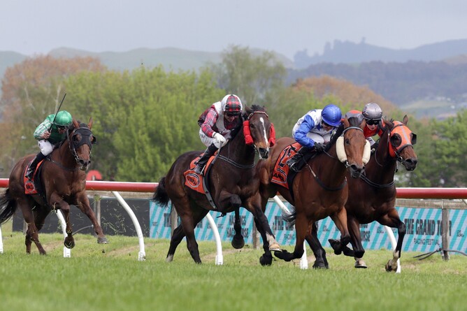 Times Ticking (red side winkers) strides to the front as he takes out the Gr.3 Red Badge Spring Sprint (1400m) at Hastings  - Photo credit: Trish Dunell