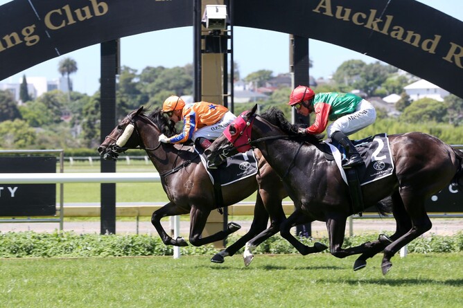 On The Bubbles holds out a gallant Pareanui Bay to win the Listed Shaw’s Wire Ropes Uncle Remus Stakes (1400m) Photo Credit: Trish Dunell
