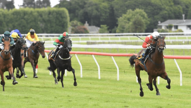 Zabmanzor winning at Otaki on Thursday.  - Photo: Peter Rubery (Race Images Palmerston North)