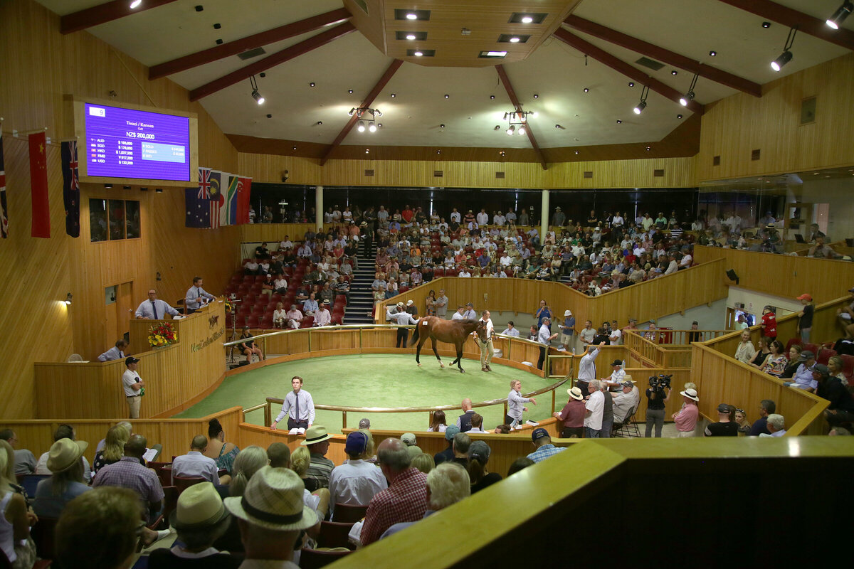 Karaka Yearling Sales move to March New Zealand Thoroughbred Breeders