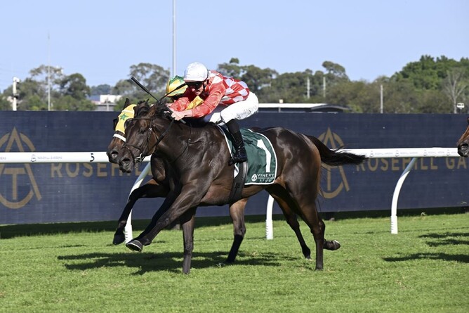 Orchestral strides past Tutta La Vita to win the Gr.1 Vinery Stakes (2000m) at Rosehill.  - Photo: Bruno Cannatelli