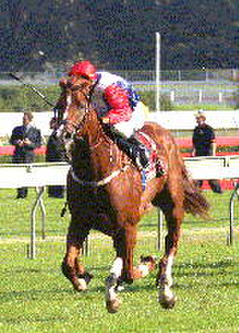Starcraft, seen here winning the AJC Chipping Norton S. G1 at three