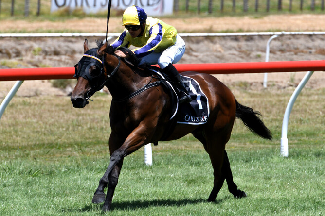 Time Ruler winning at Tauranga on Friday. - Photo: Kenton Wright, Race Images