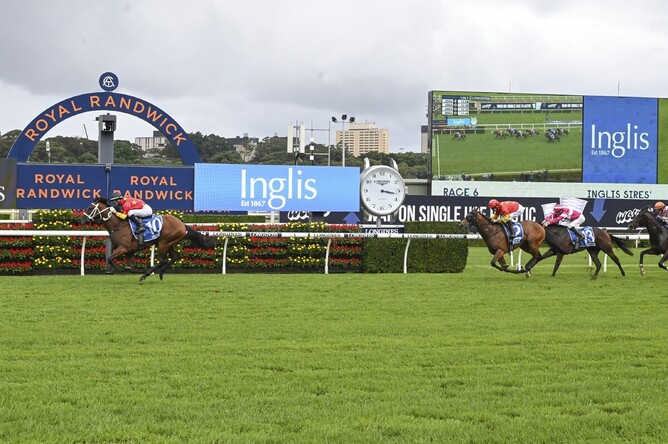 Militarize winning the Gr.1 Inglis Sires’ (1400m) at Randwick on Saturday. - Photo: Bradleyphotos.com.au