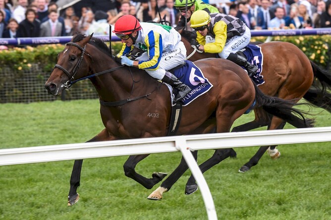 Banquo will stand at Waikato Stud this coming breeding season. Photo: Supplied