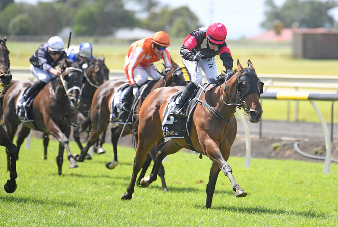 Contribute strides to victory in the Gr.3 Denis Wheeler Earthmoving Taranaki Cup (1800m) for apprentice Ciel Butler.  - Photo: Peter Rubery (Race Images Palmerston North)