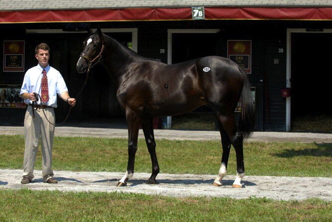Jamie with a colt by Arch ex Frolic Away