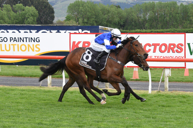 Listed NZB Airfreight Stakes (1400m) winner Bobby Mcgee.  - Photo: Tayler Strong (Race Images)