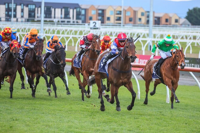 Miss Starlight winning the Listed NZB Canterbury Belle Stakes (1200m) at Riccarton on Saturday.  - Photo: Ajay Berry (Race Images South)