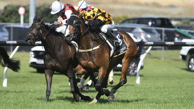 Snazzytavi (outside) narrowly defeated La Crique to take out the Gr.1 Cambridge Stud Zabeel Classic (2000m) on Boxing Day.  - Photo: Kenton Wright, Race Images