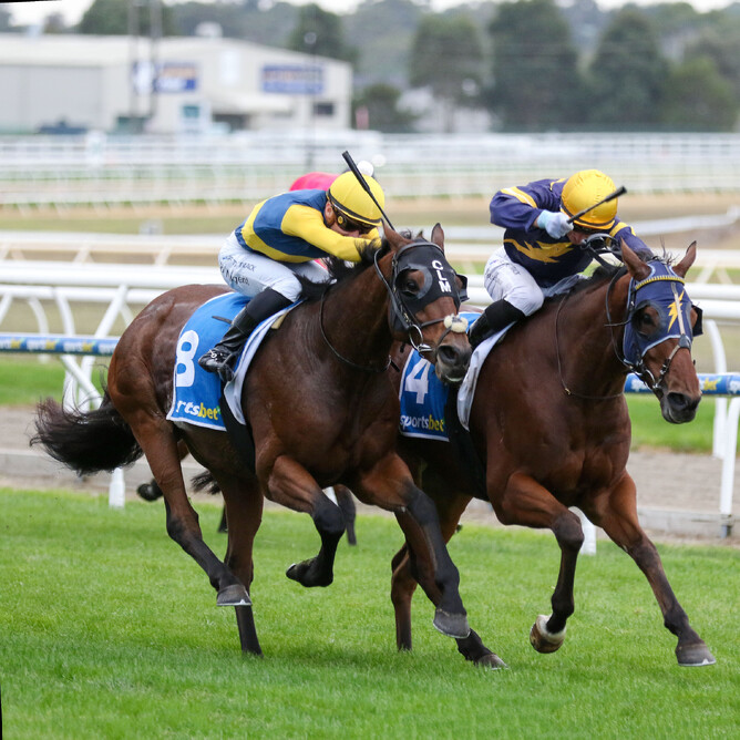 Versatile Kiwi-bred galloper Bankers Choice claimed victory in Saturday’s Listed Mornington Cup (2400m), securing a valuable spring opportunity.   - Photo: Bruno Cannatelli
