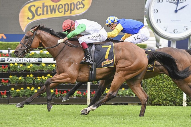 Nerve Not Verve takes out the Gr.2 Chairman’s Quality (2600m) at Royal Randwick Photo Credit: Bradleyphotos.com