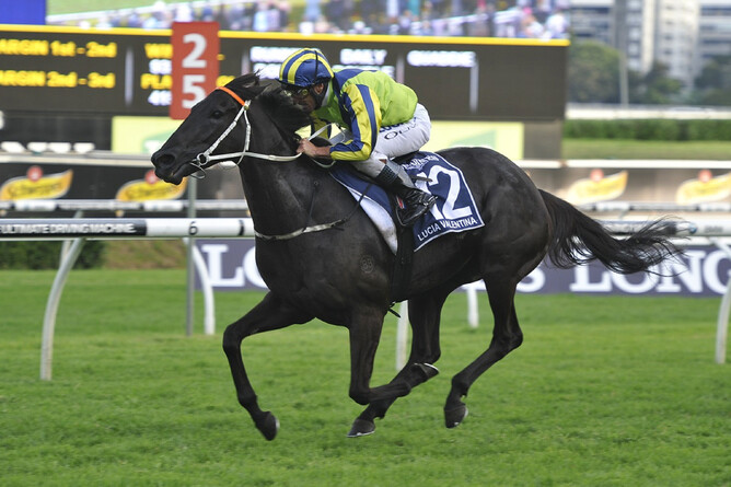 Lucia Valentina  - Darryl Sherer