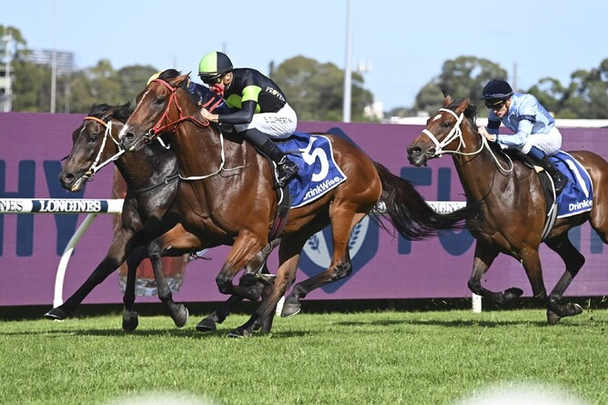 Stockman winning the Gr.3 Sky High Stakes (2000m) at Rosehill on Saturday. - Photo: bradleyphotos.com.au