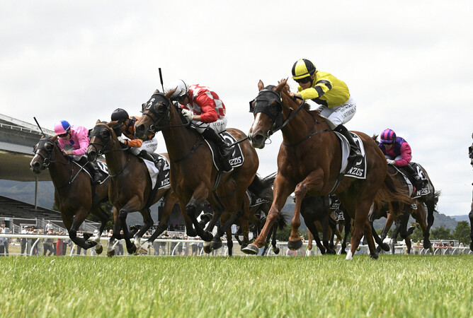 Churchillian (yellow) nudges out rivals in the Gr.3 Dixon & Dunlop Anniversary Handicap (1600m) at Trentham on Saturday.