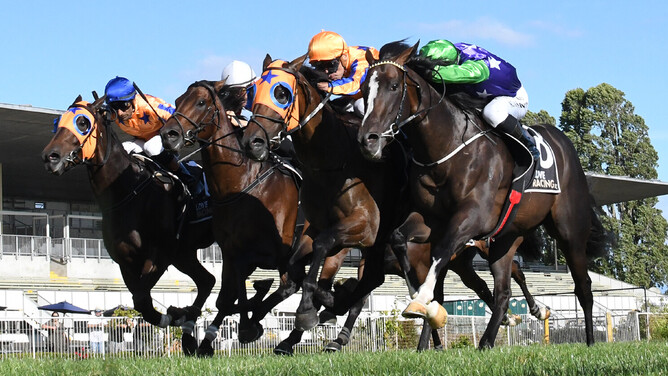 Ascend The Throne (second from inside) winning the Gr.2 Waikato Guineas (2000m) at Te Rapa on Wednesday. - Photo: Kenton Wright (Race Images)
