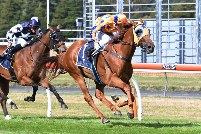 Need I Say More adds to his sparkling race record with victory in the Gr.2 Fusion Electrical Wellington Guineas (1400m) at Trentham Photo Credit: Race Images – Peter Rubery